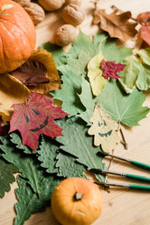 Similar image 20862517