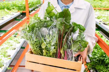 Similar image 20852444