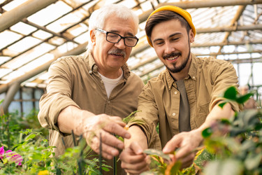 Similar image 20791982