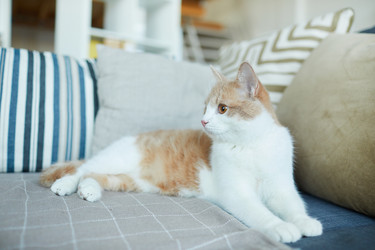 Similar image 20821881