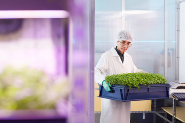 Similar image 20828538