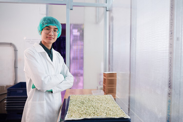 Similar image 20825646