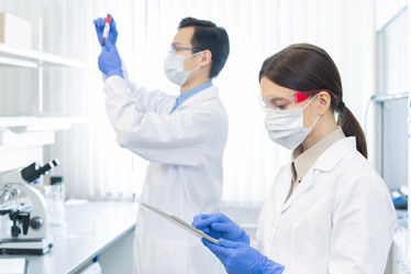 Similar image 20818099