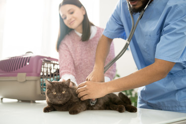 Similar image 20871513