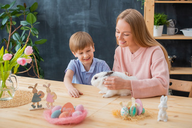 Similar image 20816013