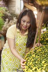 Similar image 20847538