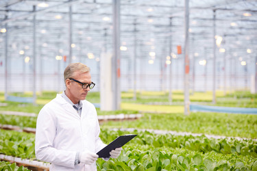 Similar image 20793250