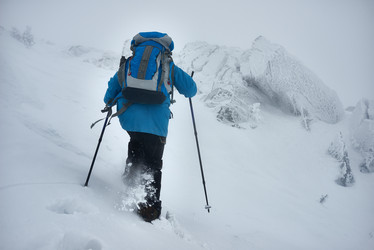 Similar image 20831444