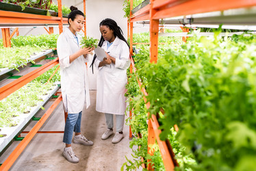 Similar image 20876566