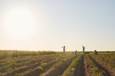 Similar image 20796295