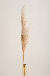 Similar image 20791223