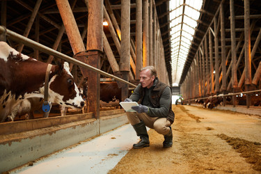 Similar image 20816002