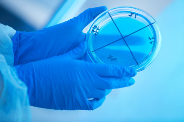 Similar image 20812451