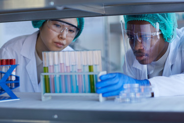 Similar image 20804569