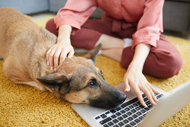 Similar image 20824357