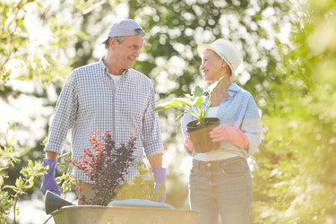 Similar image 20860816