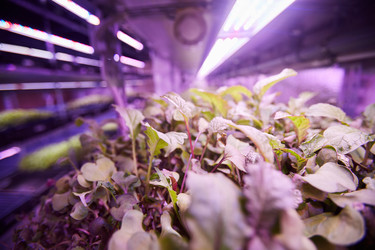 Similar image 20824753