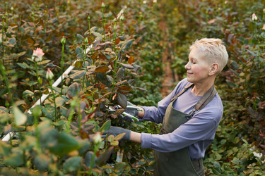 Similar image 20790059