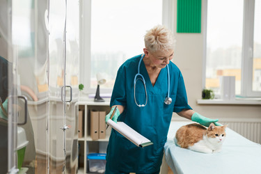 Similar image 20833639