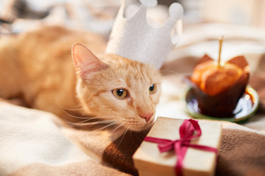 Similar image 20875962