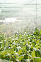 Similar image 20829807