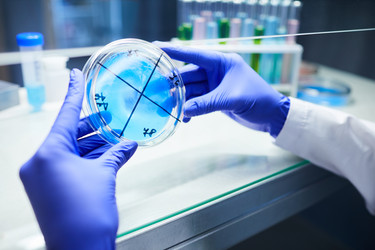 Similar image 20806412