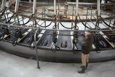 Similar image 20806648