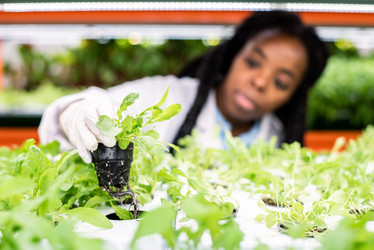 Similar image 20848025