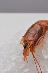 Similar image 20808410