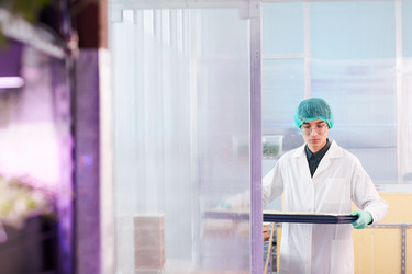 Similar image 20808220