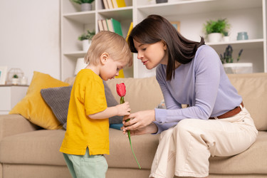 Similar image 20806863