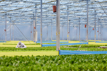 Similar image 20801956