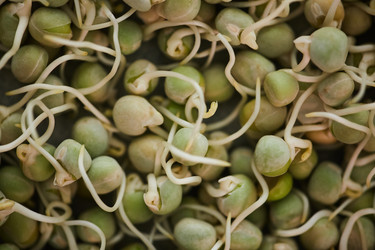 Similar image 20789273