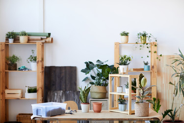 Similar image 20811049