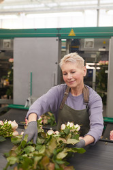 Similar image 20816220