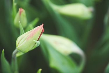 Similar image 20806624