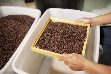 Similar image 20880246