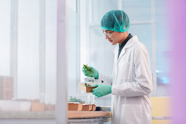 Similar image 20830640