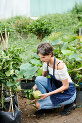 Similar image 20887631