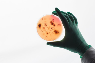 Similar image 20885318