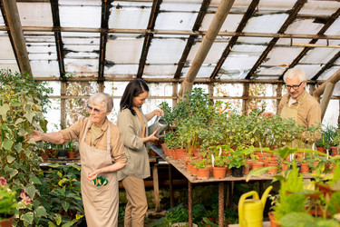 Similar image 20807161