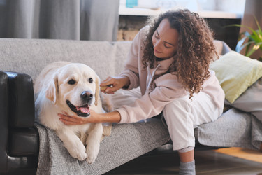 Similar image 20809489