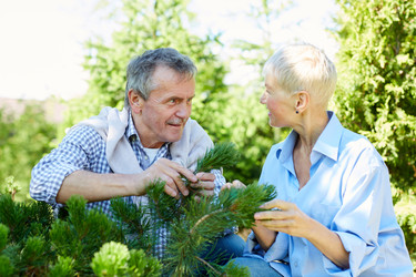 Similar image 20848922