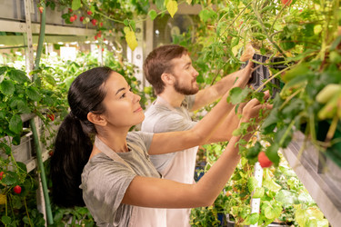 Similar image 20828056