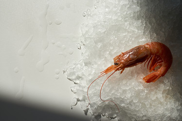 Similar image 20819184