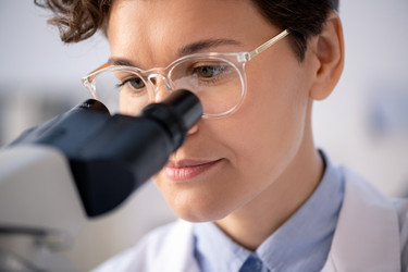 Similar image 20804997