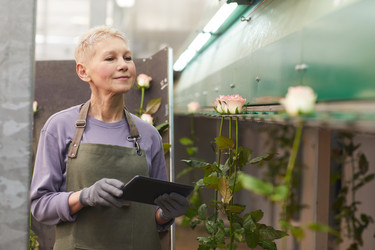 Similar image 20811474