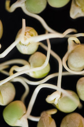 Similar image 20820642