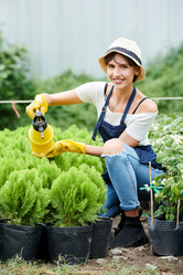 Similar image 20864827