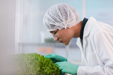 Similar image 20817192